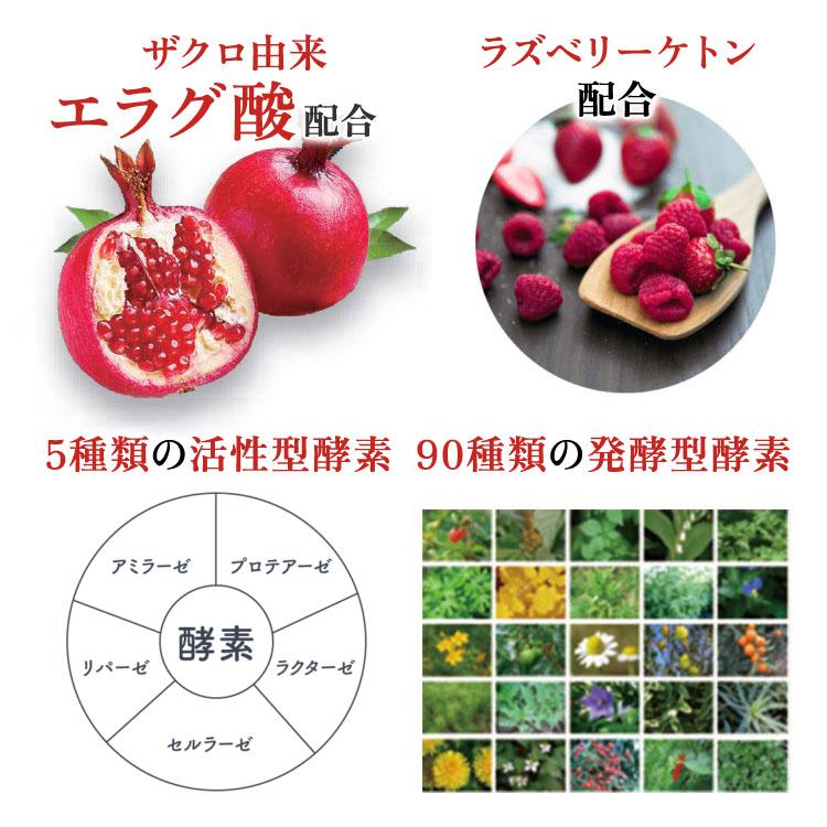 スリムエンザイムプラス 32本入り 活きた酵素 Slim Enzyme＋ スリム