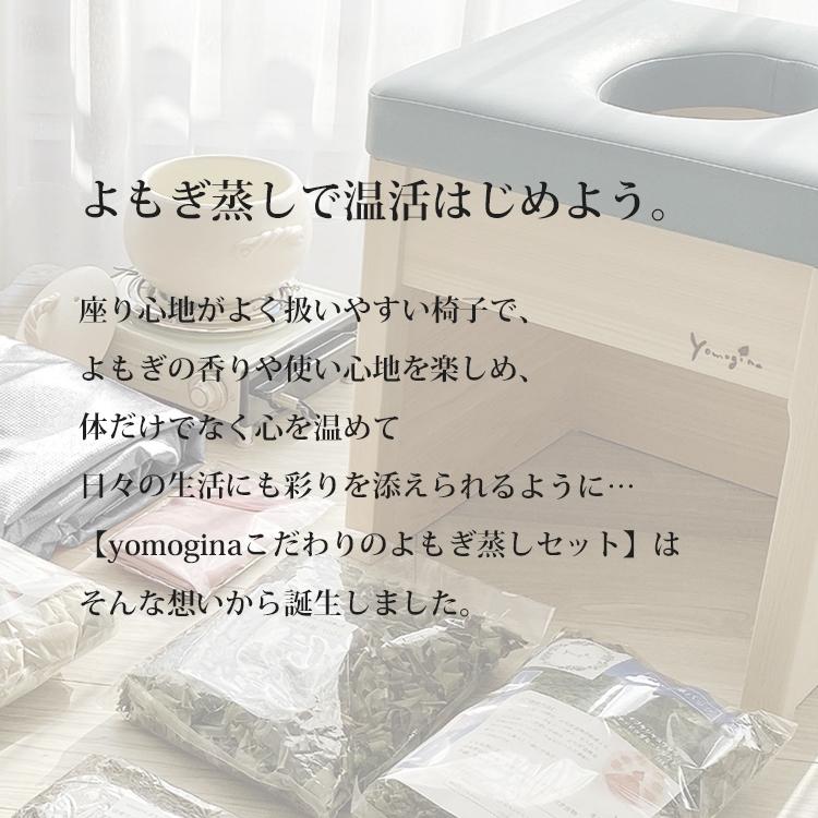 正規販売店 yomogina 家庭用よもぎ蒸しセット ヨモギーナ よもぎ蒸し
