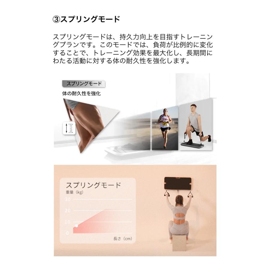 クーポン発行中 INNODIGYM ホームジムマシン 本体＋バーベル P1 Lite