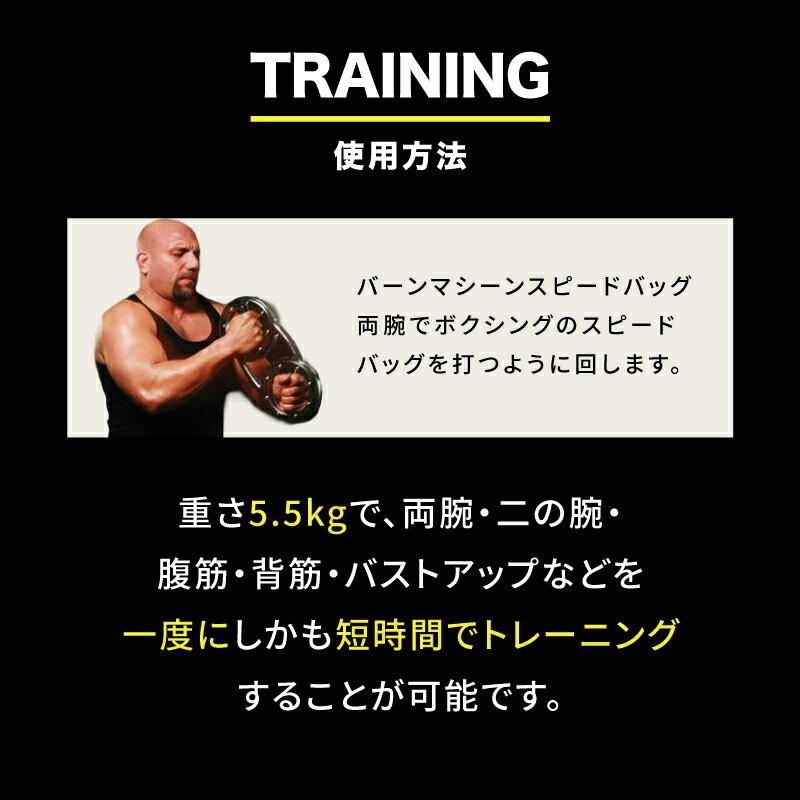 クリッパー バーンマシン スピードバッグ 5.5Kg トレーニング