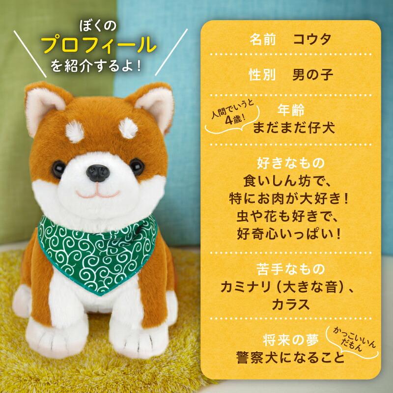 【新品】しばいぬコウタ　バンダナ付 バンダナ付 こんにちワン！しばいぬコウタ バンダナつきセット
