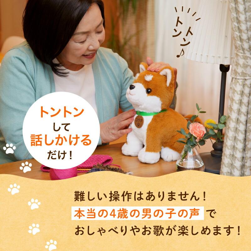 クーポン発行中 パートナーズ しばいぬコウタバンダナ付きセット