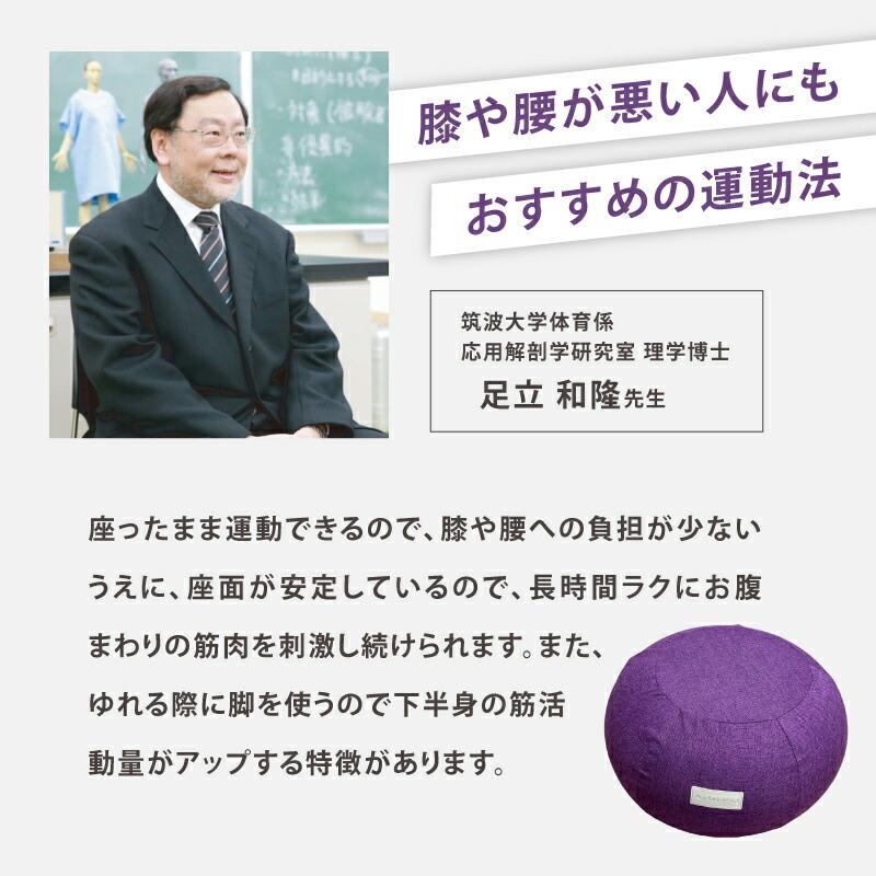 Activital（アクティバイタル） エクササイズプフ プーフ ドーナッツ
