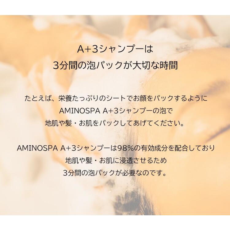 Fulvio アミノスパA+3シャンプーFA フルビオ 600ml 詰替用 シャンプー