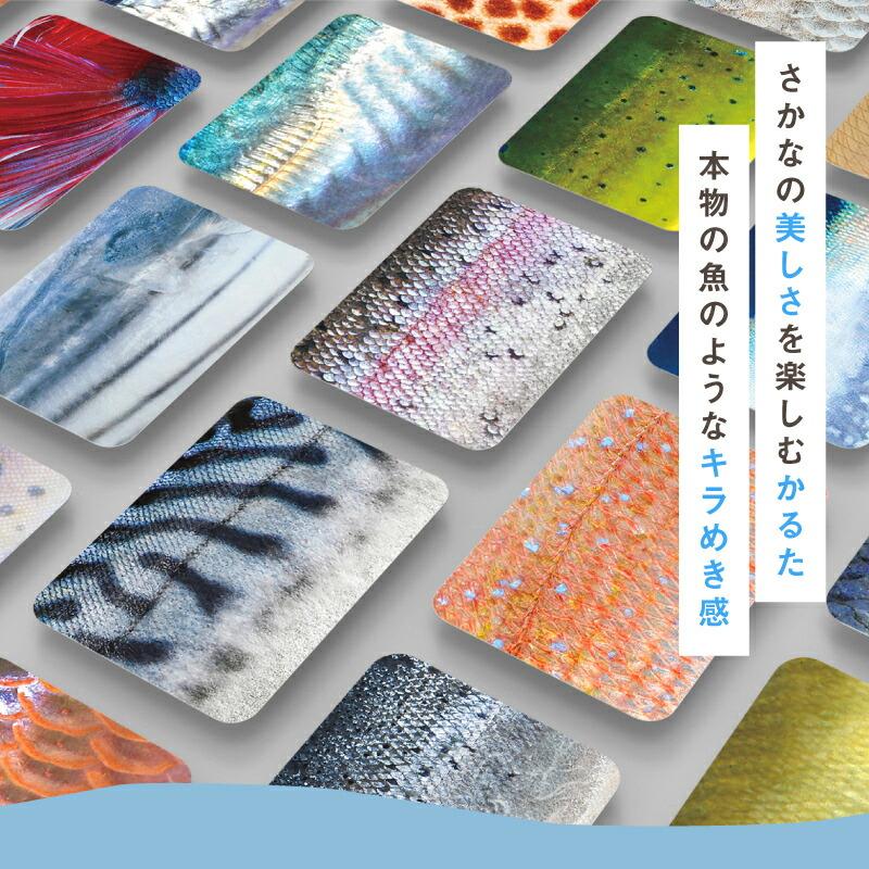 千葉印刷 さかなかるた 通常版+淡水魚版 セット かるた カルタ カード