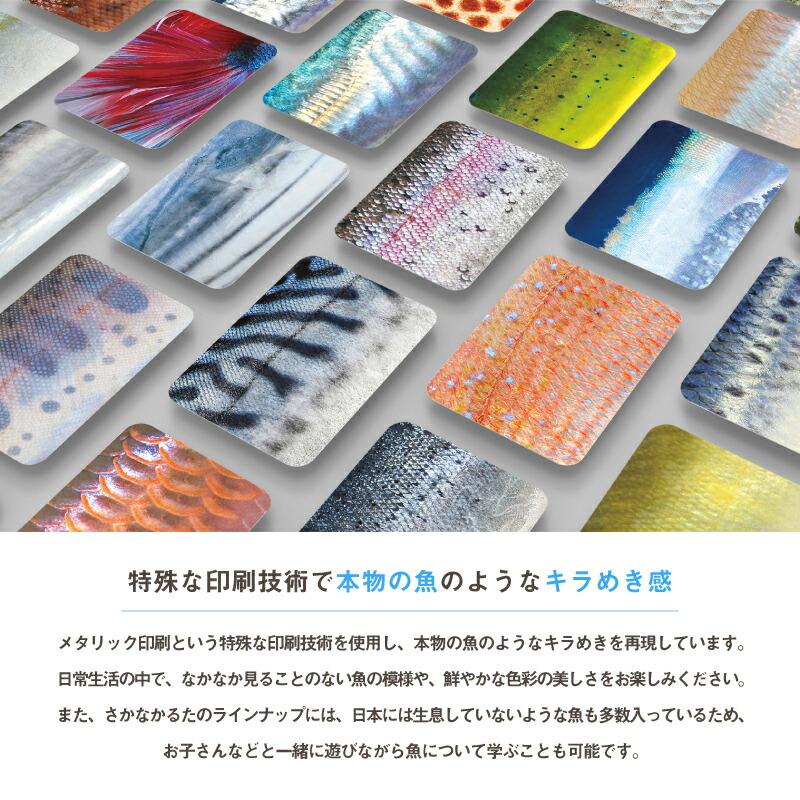 千葉印刷 さかなかるた 通常版+淡水魚版 セット かるた カルタ カード