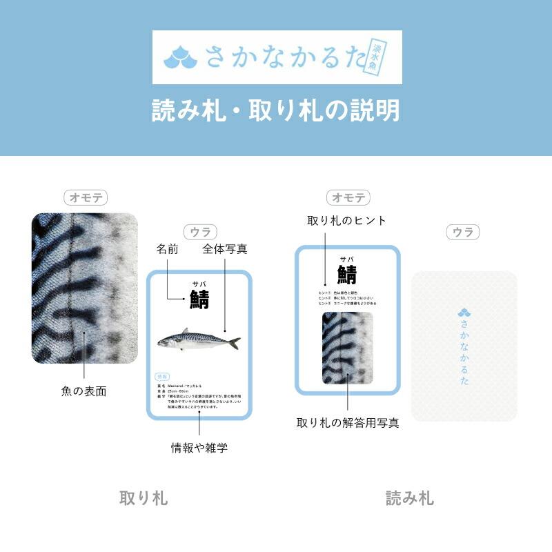 千葉印刷 さかなかるた 通常版+淡水魚版 セット かるた カルタ カード