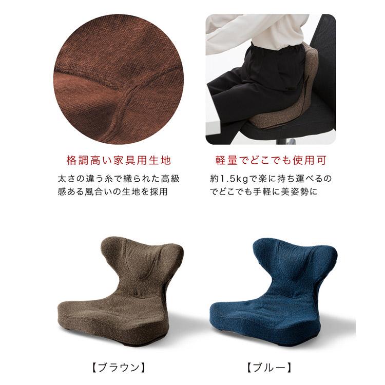 3500円OFFクーポン 馬具マットプレミアムアドバンス プロイデア