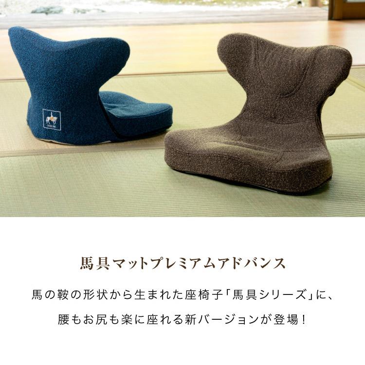 3500円OFFクーポン 馬具マットプレミアムアドバンス プロイデア