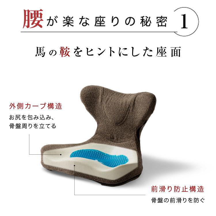 3700円OFFクーポン 馬具マットプレミアムアドバンス プロイデア