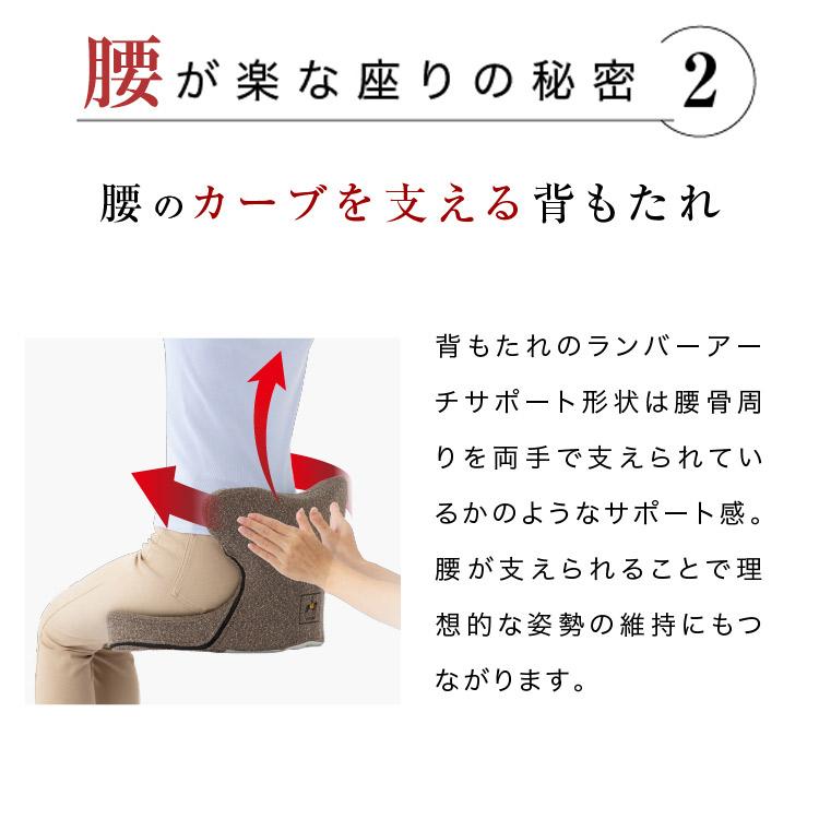 クーポン発行中 馬具マットプレミアムアドバンス プロイデア PROIDEA 姿勢矯正 美姿勢 腰椎サポート 馬具 鞍  座椅子 椅子 ソファ 日本製 メーカー直送の画像