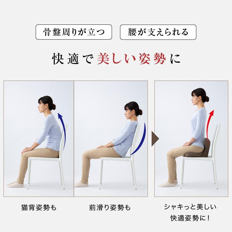 クーポン発行中 馬具マットプレミアムアドバンス プロイデア PROIDEA 姿勢矯正 美姿勢 腰椎サポート 馬具 鞍  座椅子 椅子 ソファ 日本製 メーカー直送の画像