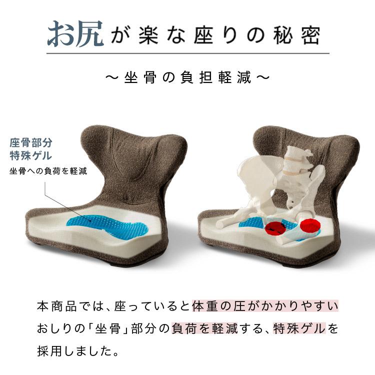 3500円OFFクーポン 馬具マットプレミアムアドバンス プロイデア