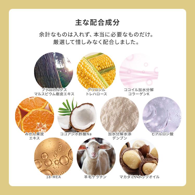 putelo（プテロ） 2点セット AR グランディール シャンプー1500ml＋