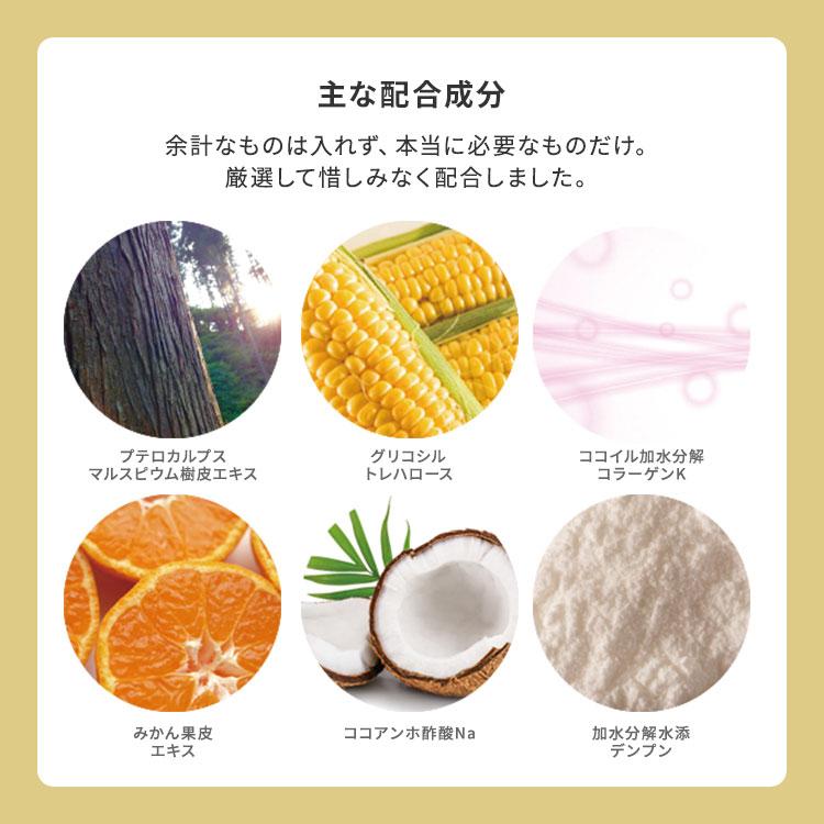 putelo（プテロ） AR グランディール シャンプー 1500ml 詰替え用 