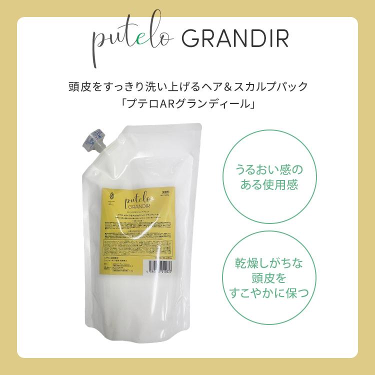 プテロ ARヘア＆スカルプパック 1000g putelo（プテロ） AR グランディール ヘア＆スカルプパック 1000g 詰