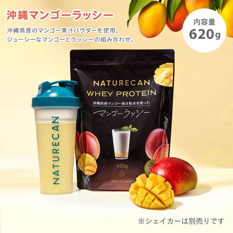 新フレーバー追加 NATURECAN ホエイプロテイン WPC 20食分 プロテイン