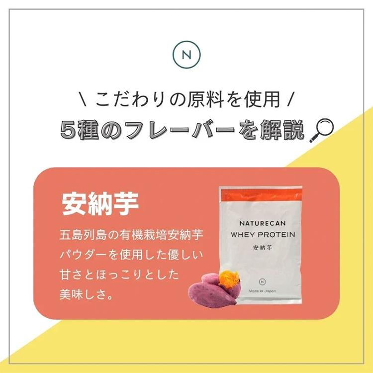 NATURECAN ホエイプロテイン WPC アソートパック 10包入り 5種×各2包