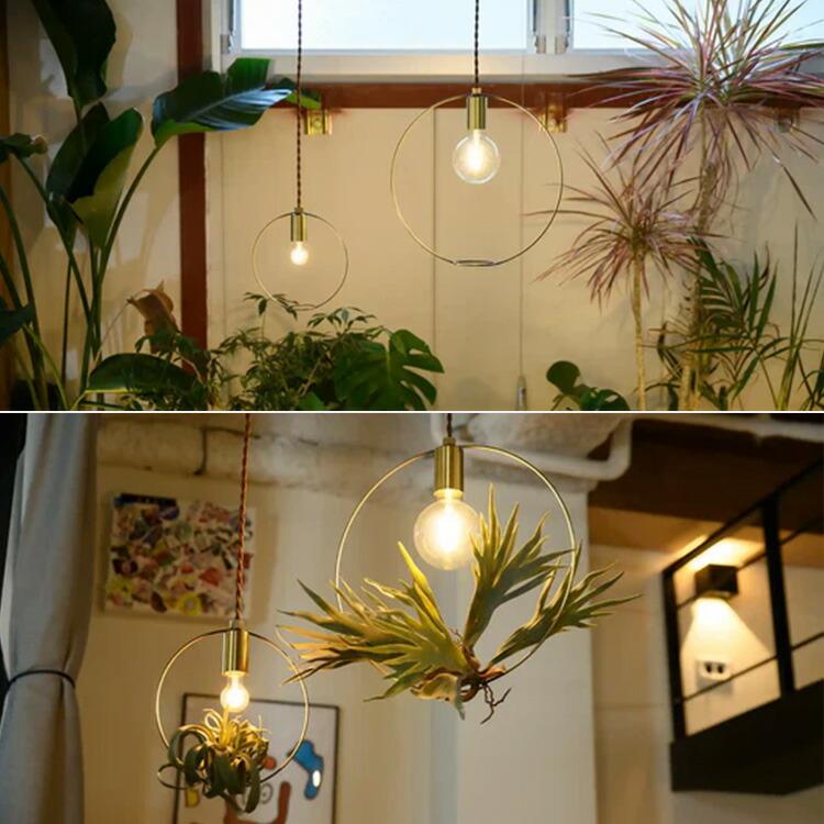 スワン電器 BOTANIC HANGING WIRERING LIGHT M ボタニックハンギング