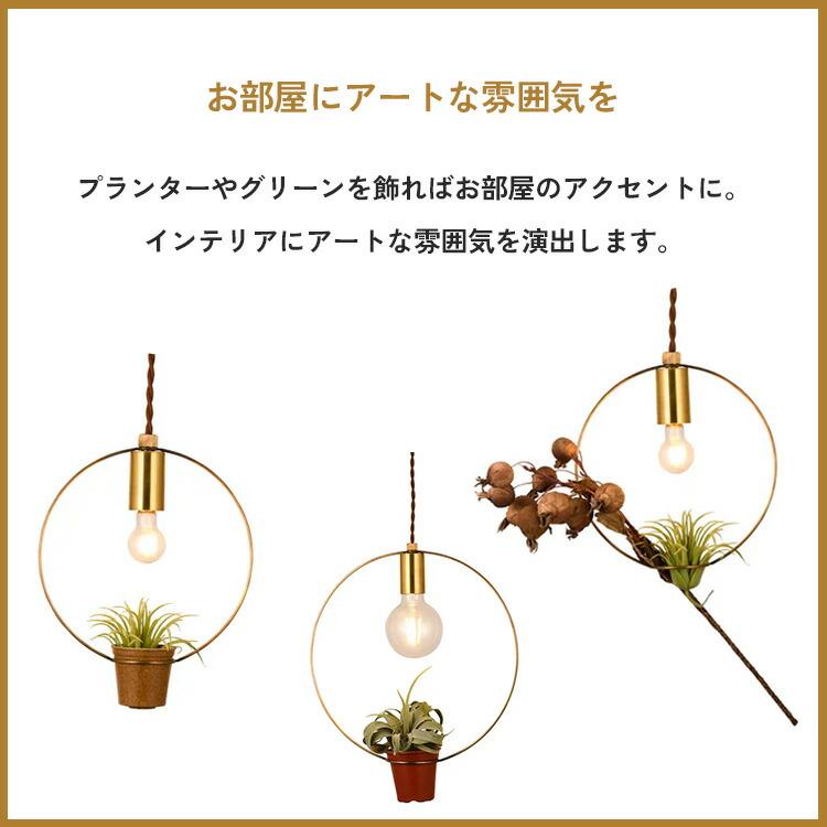 スワン電器 BOTANIC HANGING WIRERING LIGHT M ボタニックハンギング