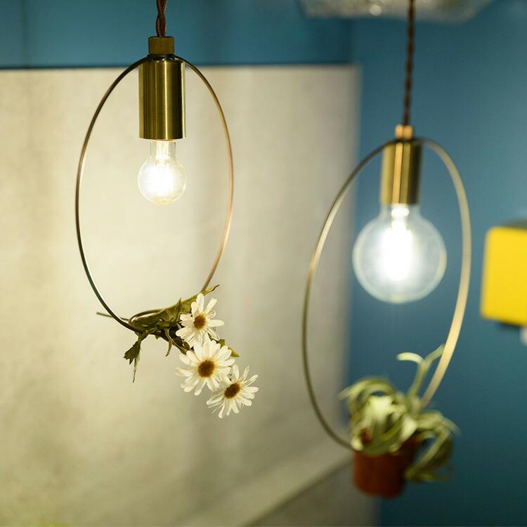 スワン電器 BOTANIC HANGING WIRERING LIGHT M ボタニックハンギング
