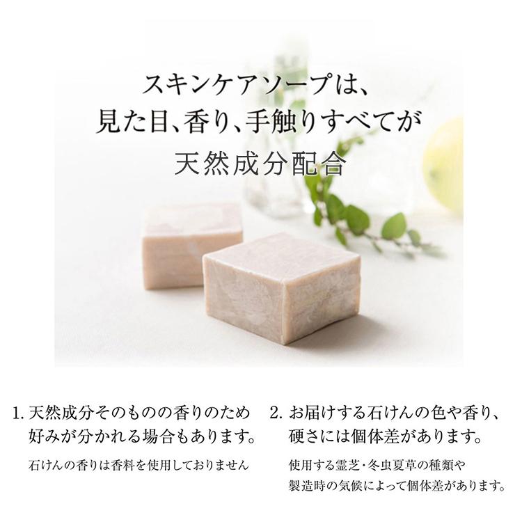 クーポン発行中 霊芝 冬虫夏草 スキンケアソープ 3個セット 80g×3