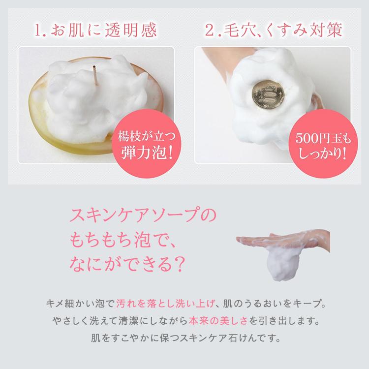 クーポン発行中 霊芝 冬虫夏草 スキンケアソープ 3個セット 80g×3