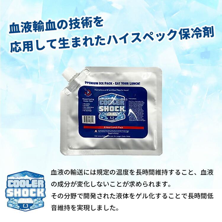 クーポン発行中 3個セット COOLER SHOCK クーラーショック L 保冷剤 