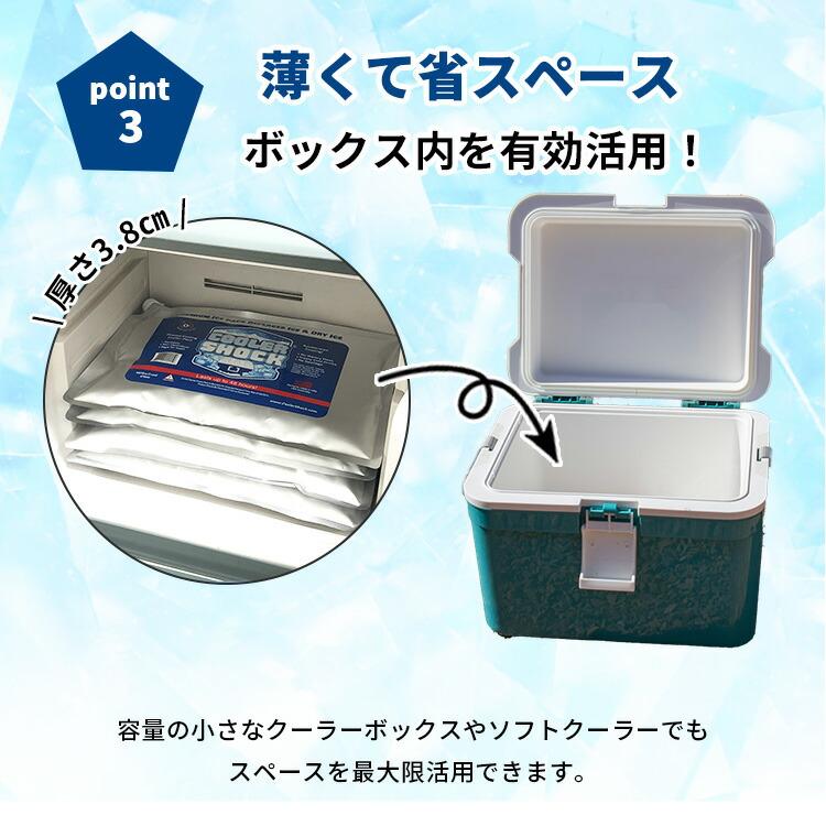 クーポン発行中 3個セット COOLER SHOCK クーラーショック L 保冷剤 