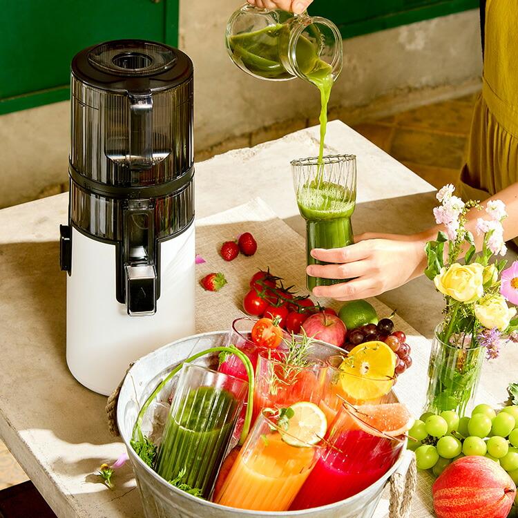 HUROM 2025年モデル ヒューロム コールドプレスジューサー H70FT