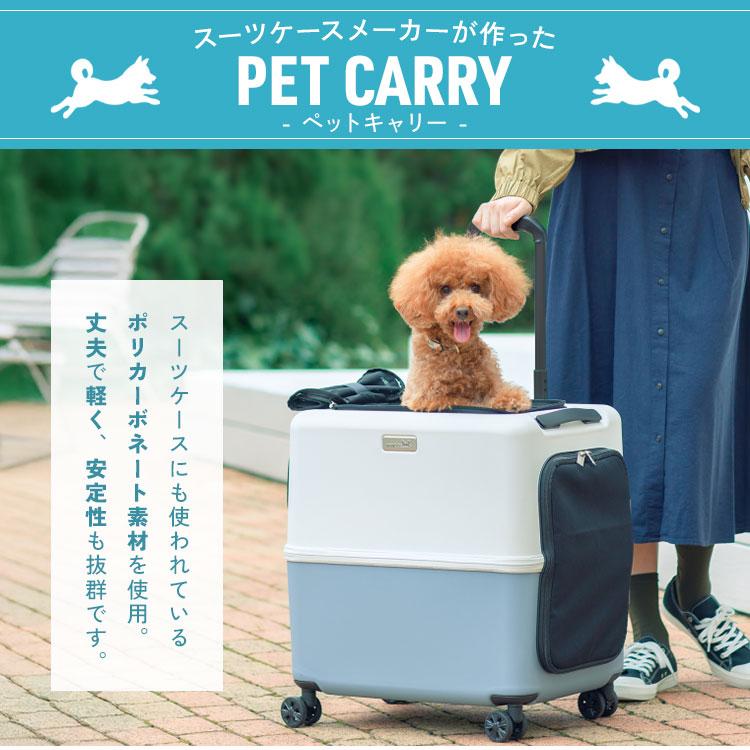 PETiCO ぺットキャリー Lサイズ スカイブルー PETiCO(ペチコ) Lサイズ｜ペットキャリー｜80L｜スカイブルー×ホワイト