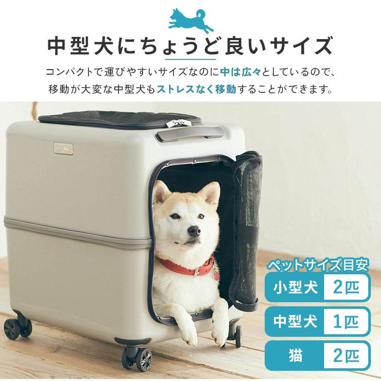クーポン発行中 PETiCO iCO ペットキャリー Lサイズ（小型犬2匹 中型犬