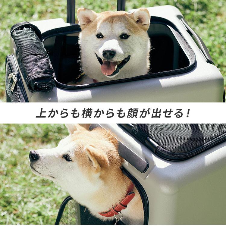 クーポン発行中 PETiCO iCO ペットキャリー Lサイズ（小型犬2匹 中型犬