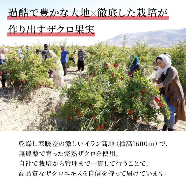 nini（ニニ） クーポン発行中 熟成発酵ザクロペースト 30包入 ザクロ