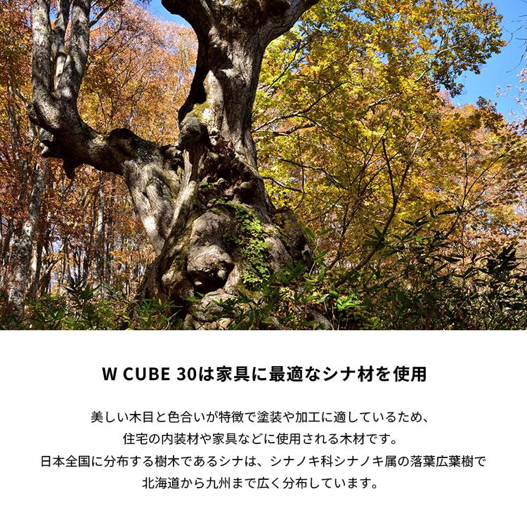 ヤマト工芸 yamatojapan W CUBE 30 ダブルキューブ30 30L ヤマト