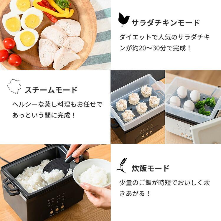 PRISMATE サラダチキンメーカー グランデ プリズメイト PR-SK044 WEB