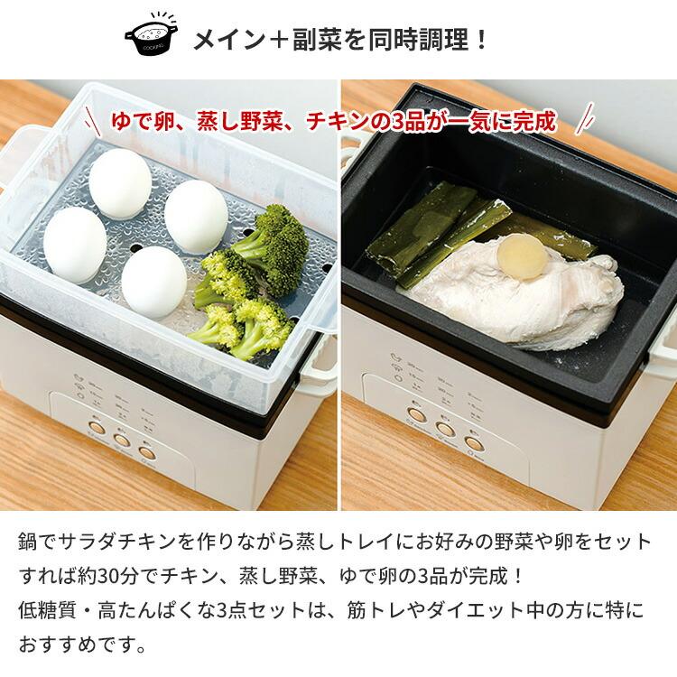 PRISMATE サラダチキンメーカー グランデ プリズメイト PR-SK044 WEB