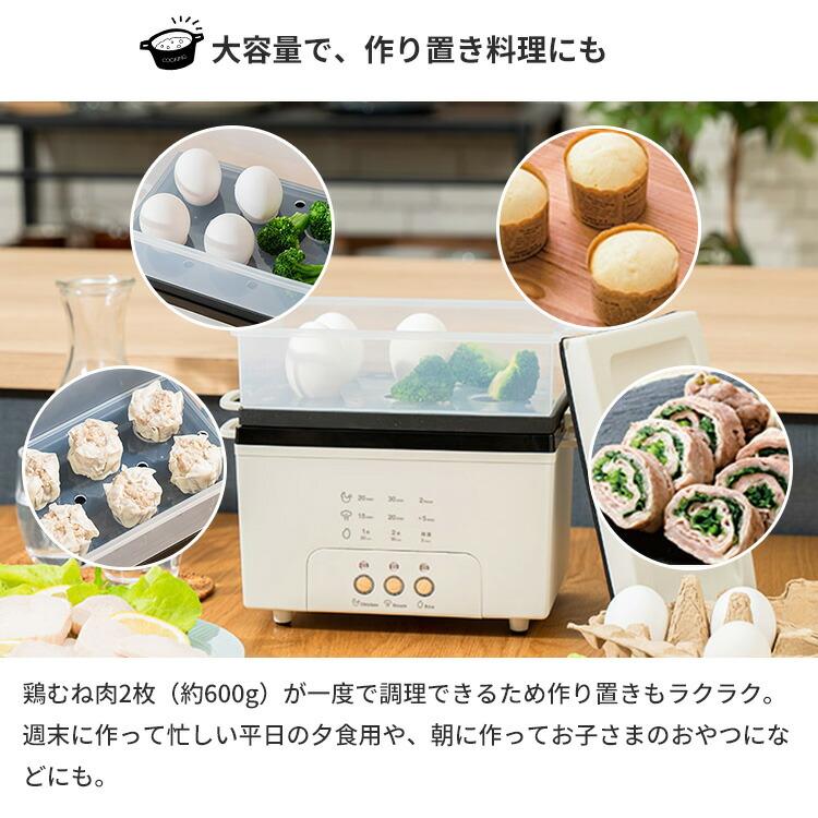 PRISMATE サラダチキンメーカー グランデ プリズメイト PR-SK044 WEB