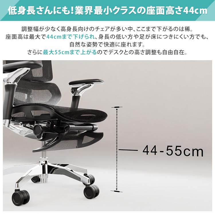 5700円OFFクーポン Rasical Chair Elite ラシカルチェア エリート