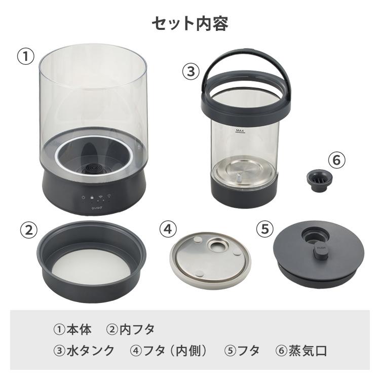 QUADS（クワッズ） 2026年最新 ハイパワーガラススチーム加湿器 GLASS