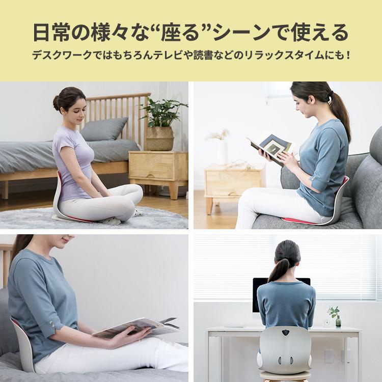 カーブルチェア ワイド 姿勢サポートチェア WIDER 椅子 座椅子 硬め