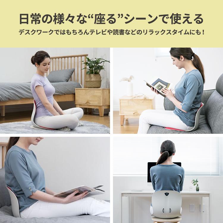 カーブルチェア ワイド 姿勢サポートチェア WIDER 椅子 座椅子 硬め