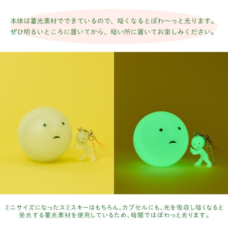 クーポン発行中 SMISKI Strap Accessories Series2 アソートボックス