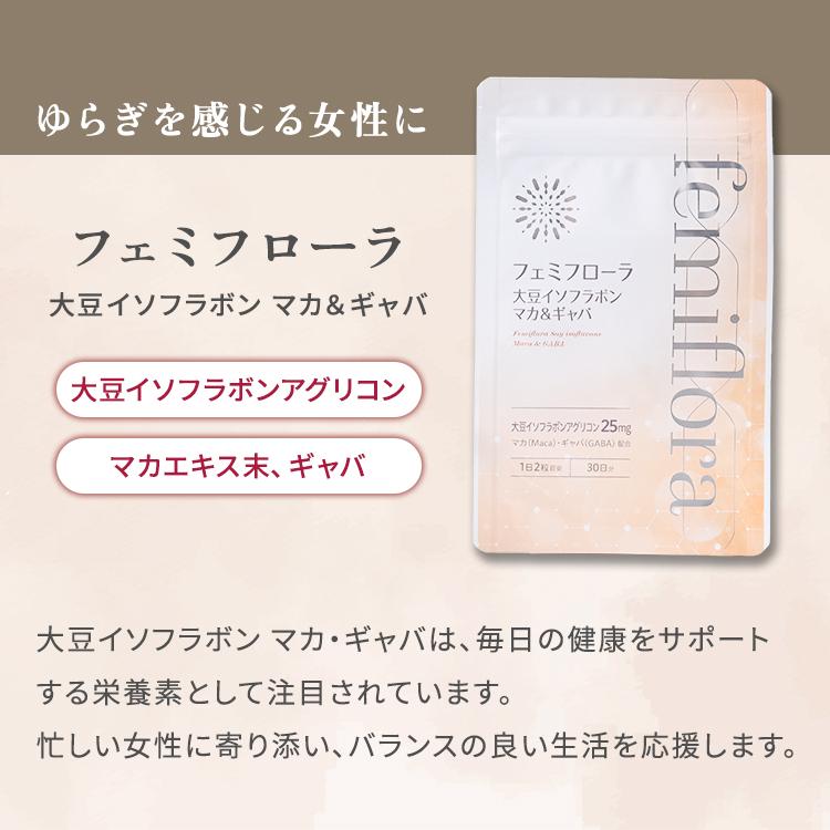 わかもと製薬 フェミフローラ 大豆イソフラボン マカ＆ギャバ 60粒