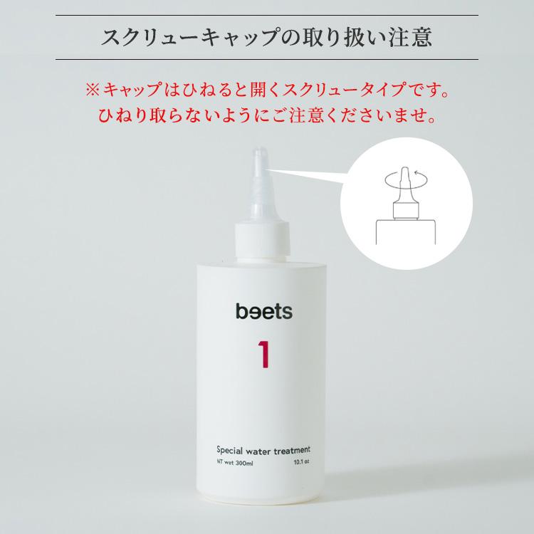 正規販売店 2本セット beets1 スペシャルウォータートリートメント