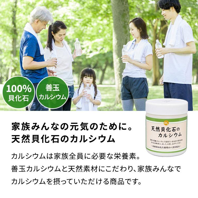 クーポン発行中 3個セット 天然貝化石のカルシウム 220g ソマチット