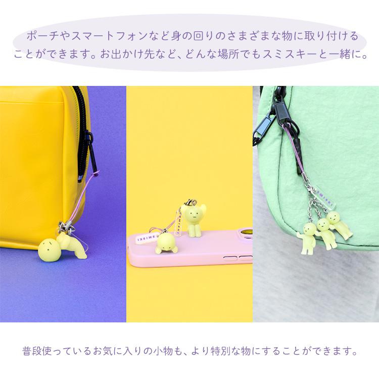 クーポン発行中 SMISKI Strap Accessories Series3 アソートボックス