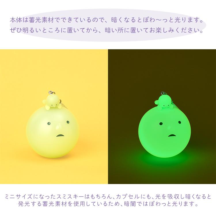 クーポン発行中 SMISKI Strap Accessories Series3 アソートボックス