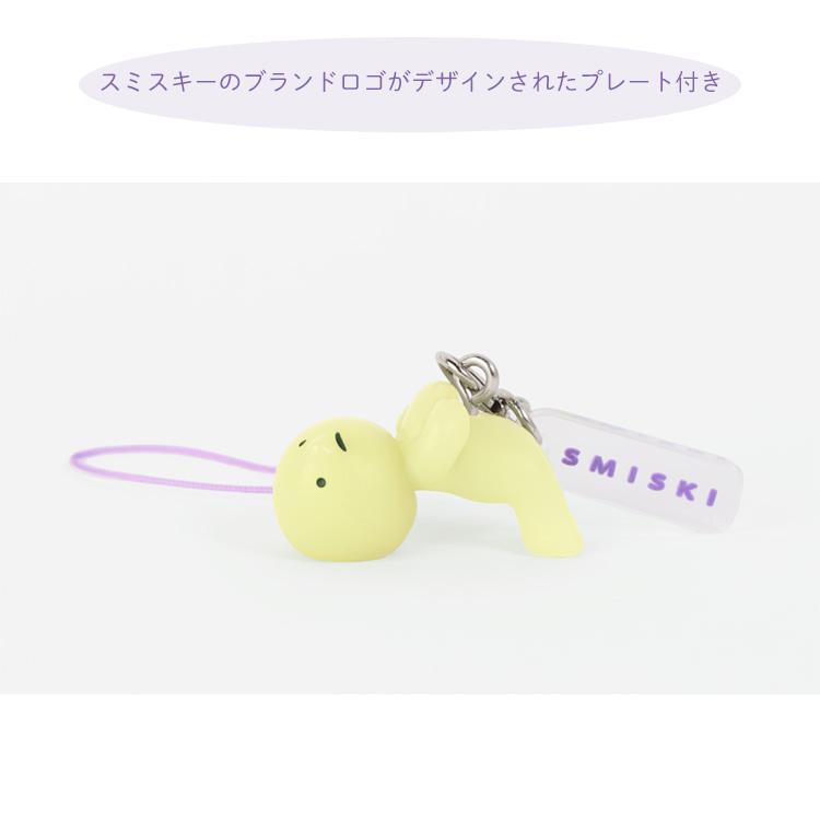 クーポン発行中 SMISKI Strap Accessories Series3 アソートボックス