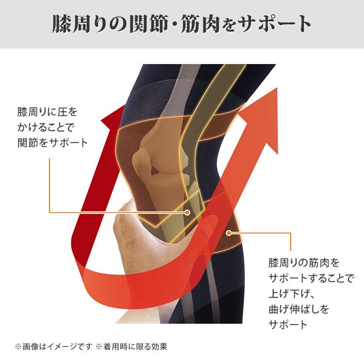 樫木裕実監修 24H健康くびれ筋 どんどん動けるスパッツ 2枚組 M〜3L